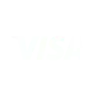 Buy with Visa